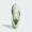 images (1)