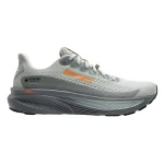 Men's Brooks Ghost 17 (Gore-Tex)