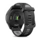 garmin3