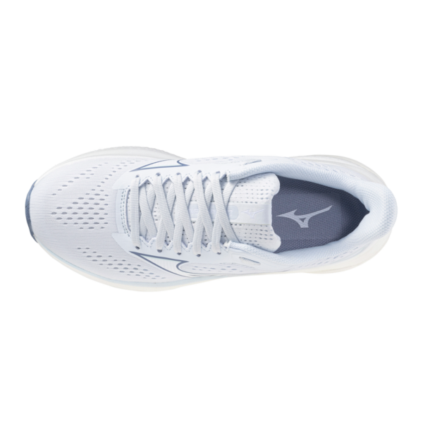 SH_J1GD264424_04 SH_J1GD264424_04